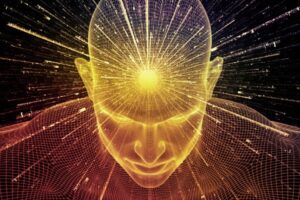 Wisdom Workers: What’s Their Deal?
